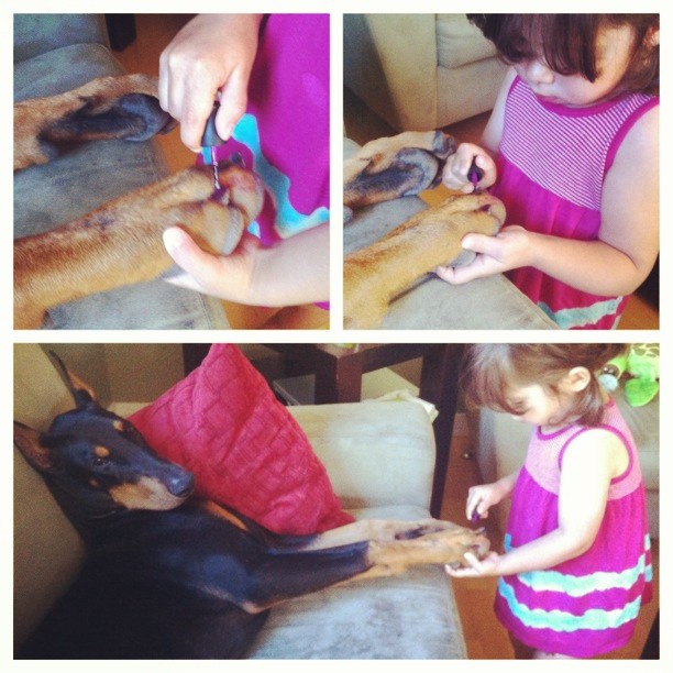 cutie-beast-nina-siena-perro-doberman-buddha (9)