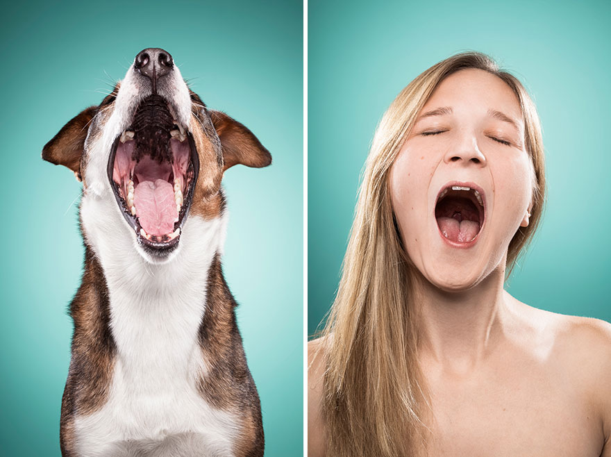 duenos-imitando-cara-perros-ines-opifanti (21)