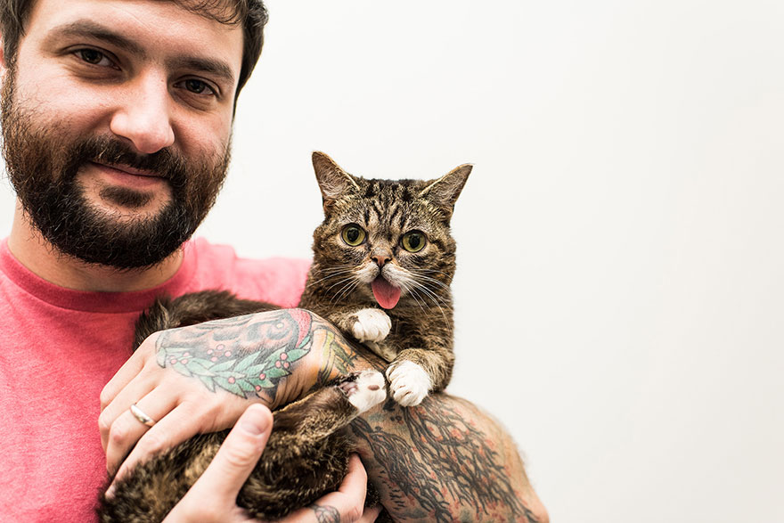 fotos-gatos-celebres-instagram-duenos-eeuu-meow-quarterly (1)