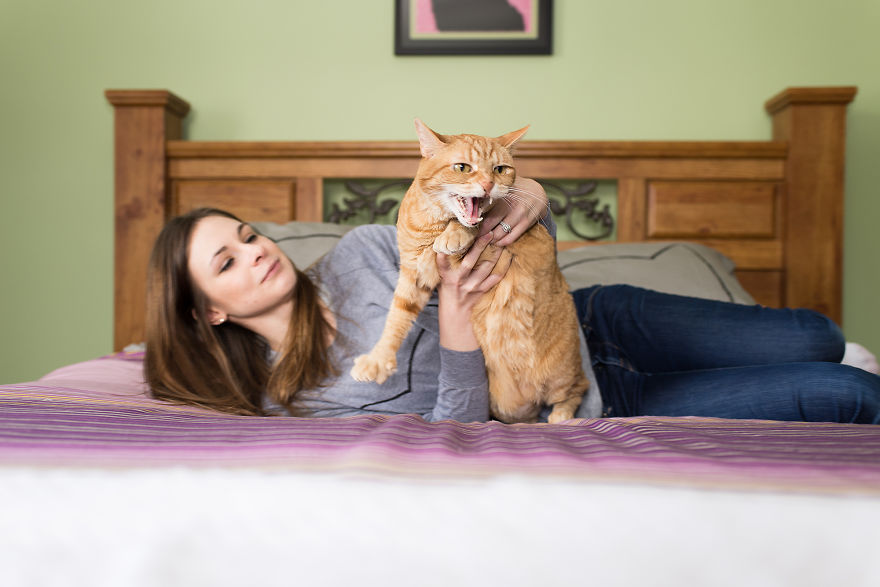 fotos-gatos-celebres-instagram-duenos-eeuu-meow-quarterly (11)