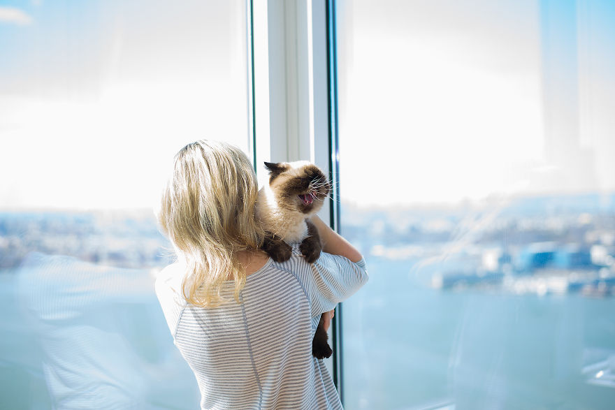 fotos-gatos-celebres-instagram-duenos-eeuu-meow-quarterly (12)