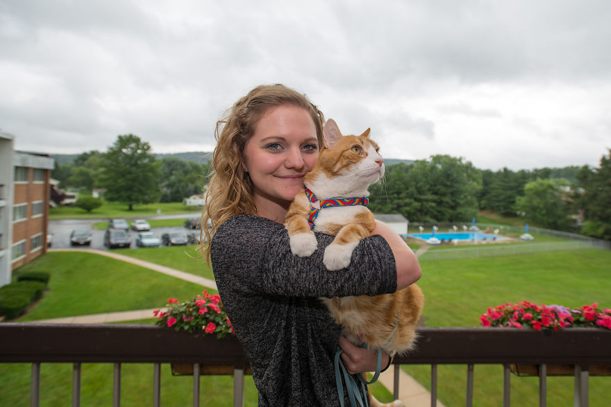 fotos-gatos-celebres-instagram-duenos-eeuu-meow-quarterly (4)