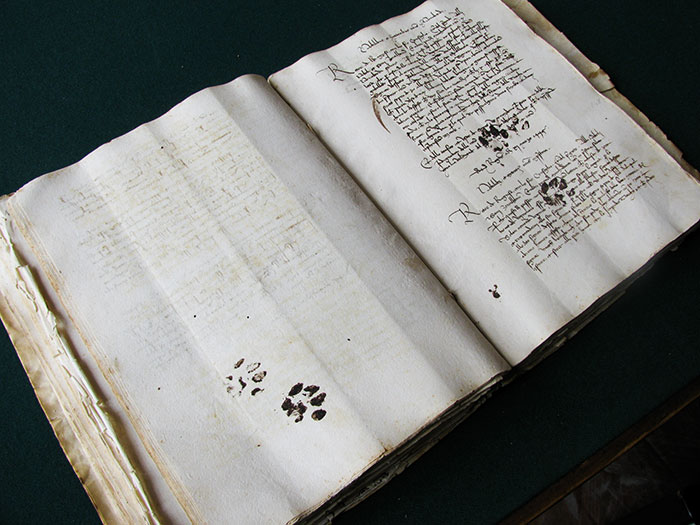 huella-gato-tejado-arcilla-romano-gloucester (2)