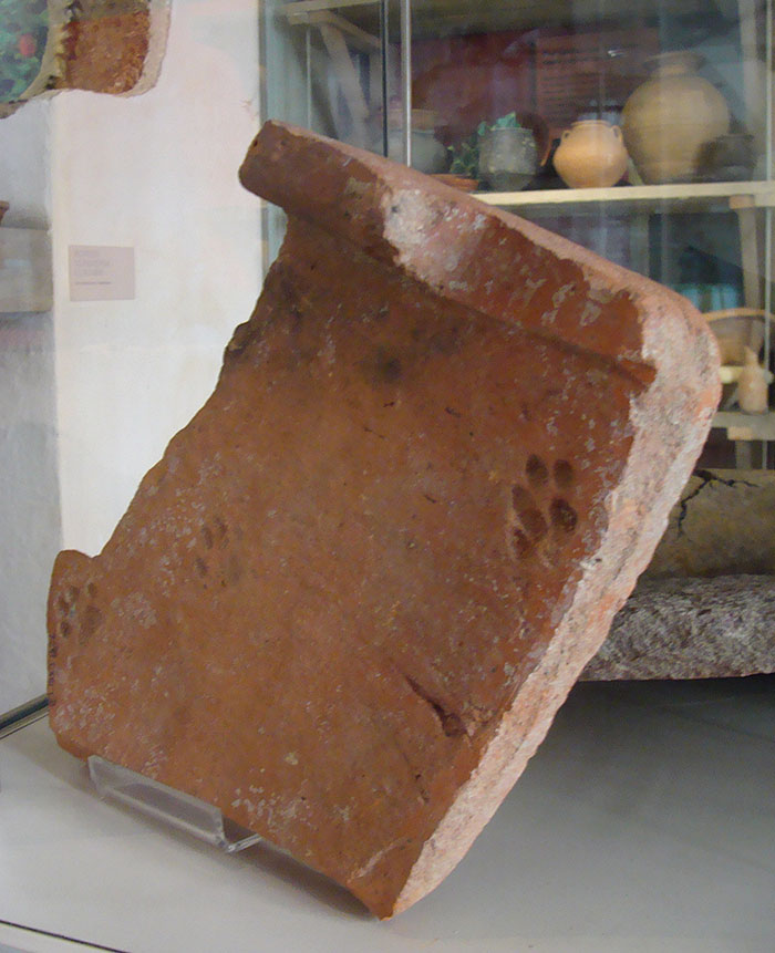 huella-gato-tejado-arcilla-romano-gloucester (3)