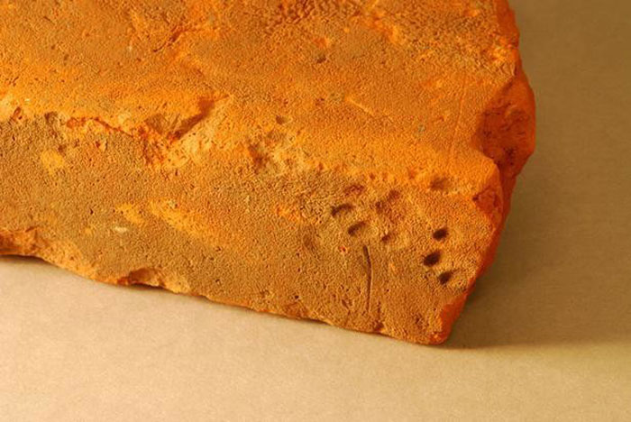 huella-gato-tejado-arcilla-romano-gloucester (4)