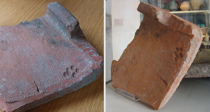 Una huella de gato de hace 2000 años demuestra que el comportamiento felino viene de siempre