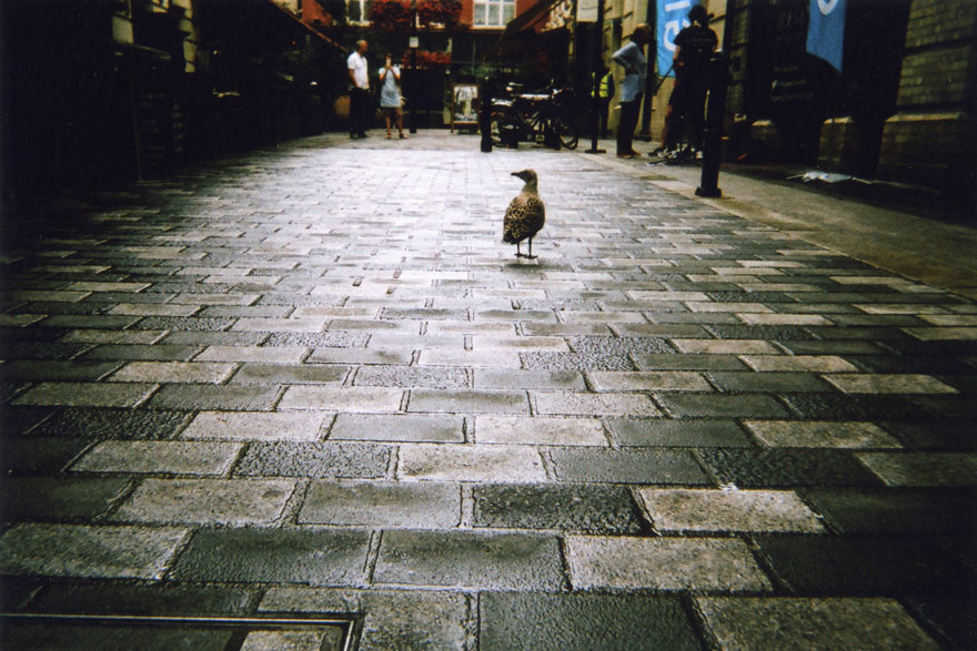 indigentes-fotografos-londres-calendario-2016-cafe-art (7)