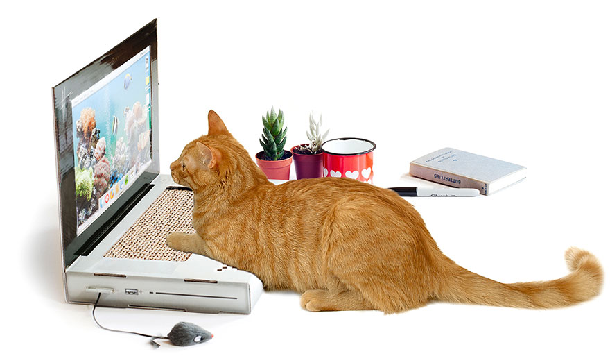 juguete-gato-portatil-rascador-suckuk (2)