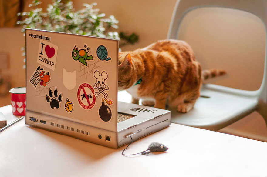 juguete-gato-portatil-rascador-suckuk (3)
