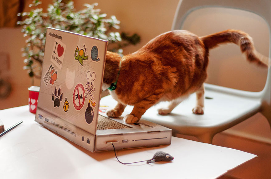 juguete-gato-portatil-rascador-suckuk (4)