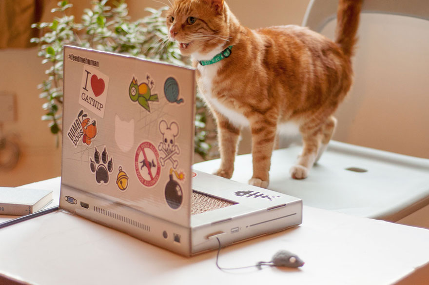 juguete-gato-portatil-rascador-suckuk (5)