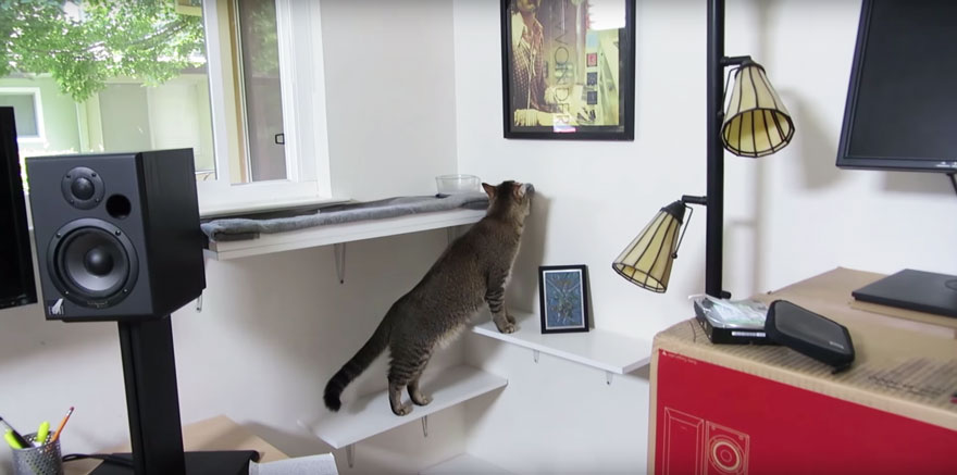 maquina-alimentadora-gatos-cazar-ben-millam (3)
