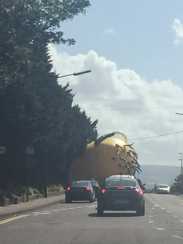 minion-gigante-hinchable-escapado-irlanda (4)