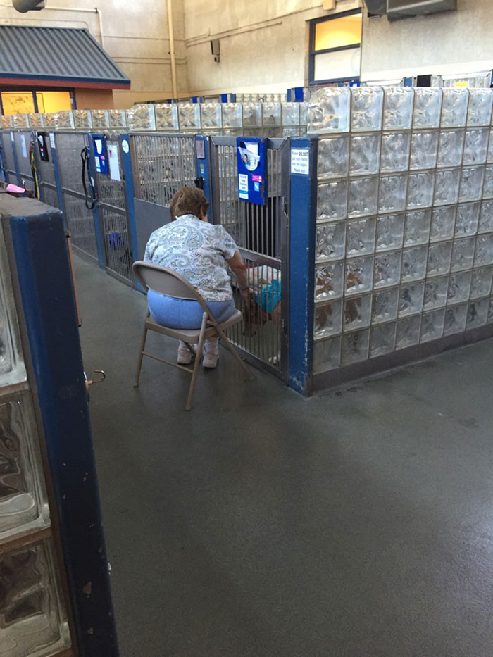 mujer-lee-libros-perros-refugio-pittsburgh (1)