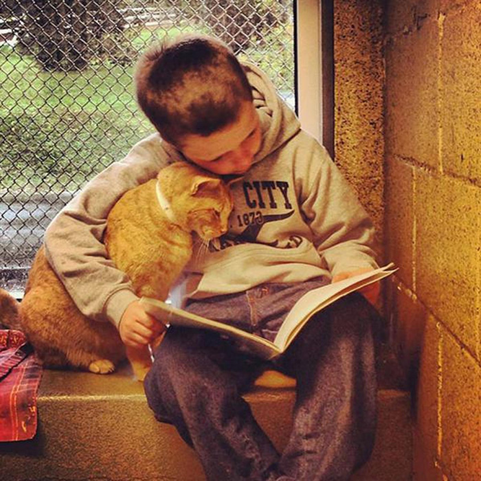 mujer-lee-libros-perros-refugio-pittsburgh (2)