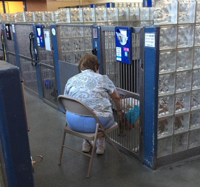 Esta mujer va a leer a los perros viejos de los refugios para que se sientan menos solos