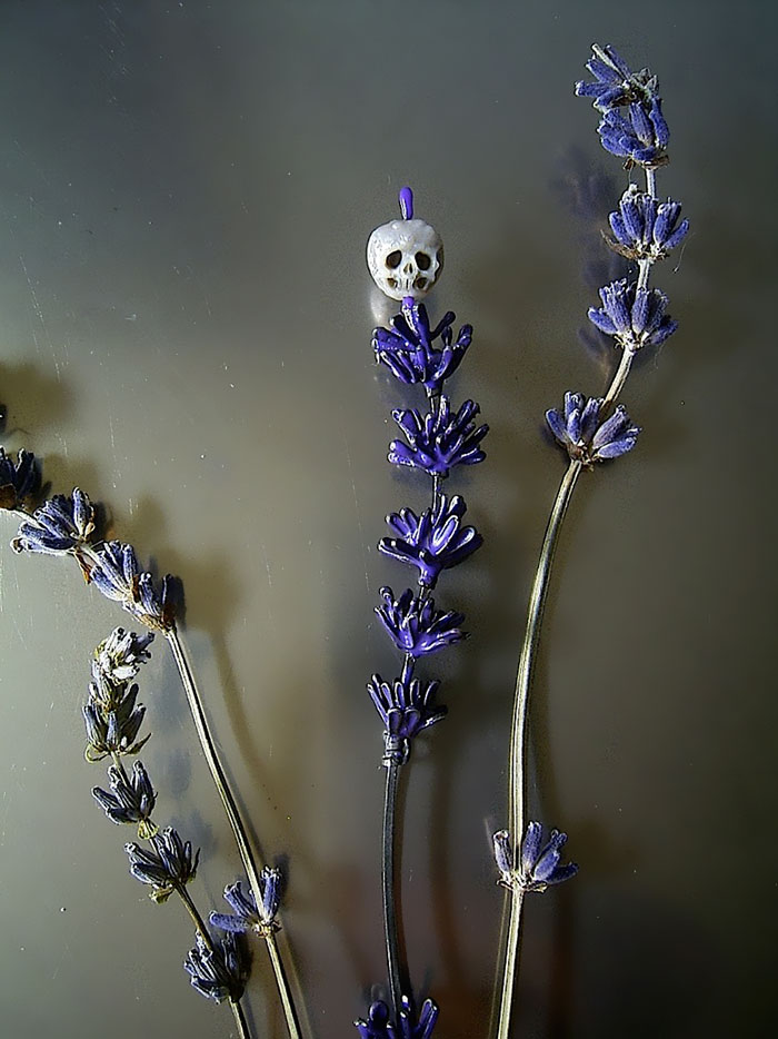 perlas-talladas-calaveras-vanitas-shinji-nakaba (11)