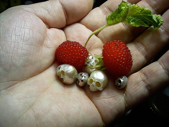 perlas-talladas-calaveras-vanitas-shinji-nakaba (7)