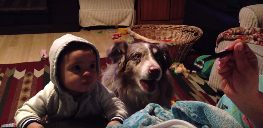 perro-dice-mama-bebe-no (1)