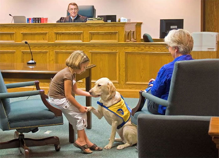 perros-juzgado-calmar-victimas-testigos-ellen-oneill-celeste-walsen (6)