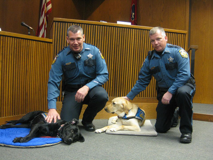 perros-juzgado-calmar-victimas-testigos-ellen-oneill-celeste-walsen (9)