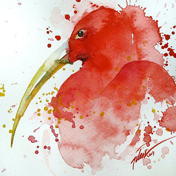 pinturas-acuarelas-animales-tilen-ti (1)