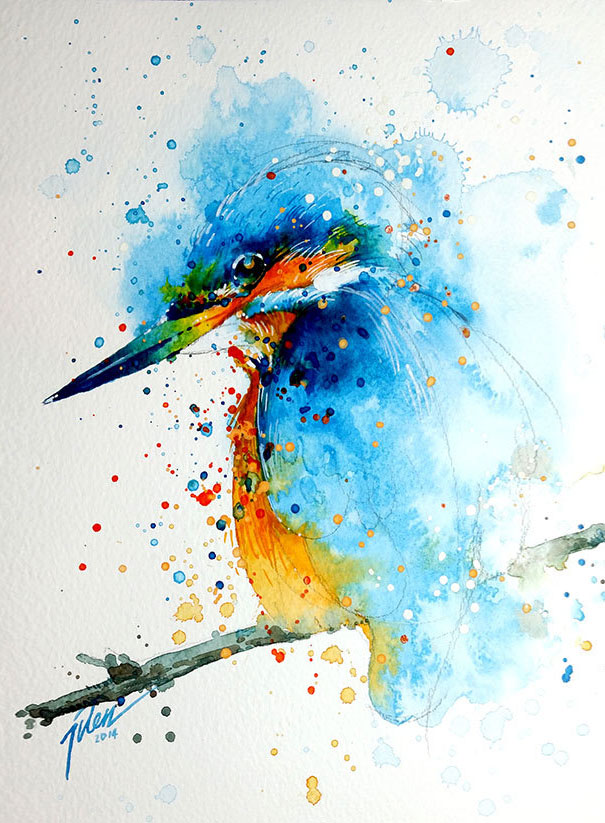 pinturas-acuarelas-animales-tilen-ti (11)