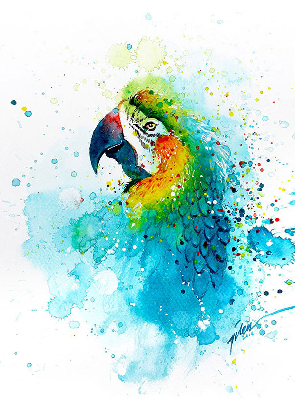 pinturas-acuarelas-animales-tilen-ti (12)