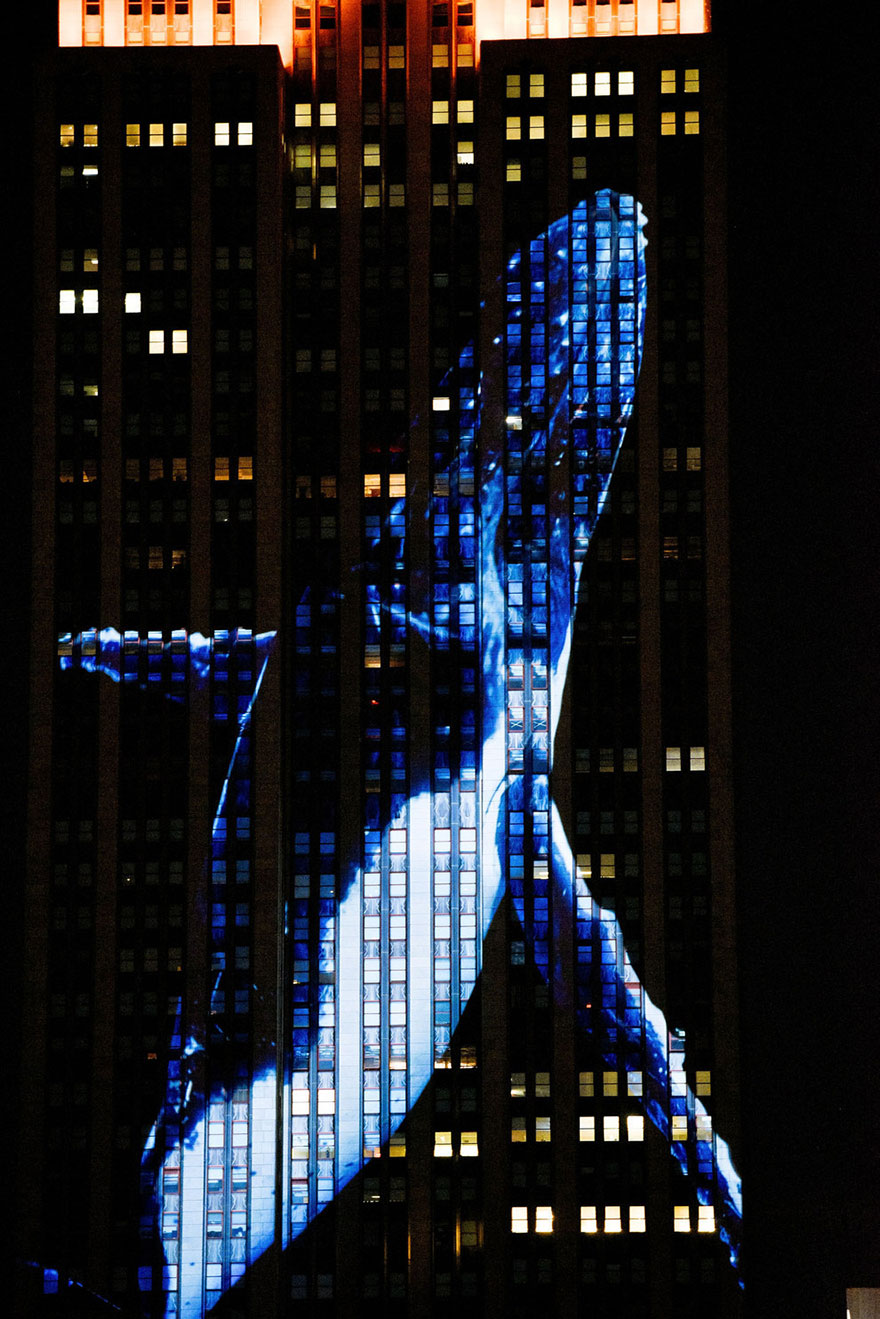 proyeccion-digital-empire-state-animales-amenazados (11)