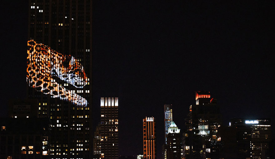 proyeccion-digital-empire-state-animales-amenazados (12)
