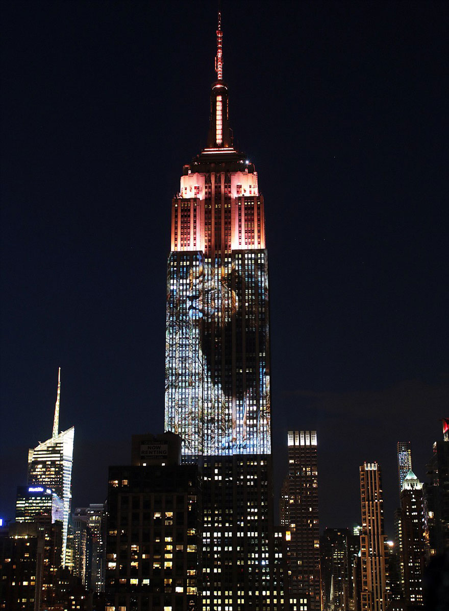 proyeccion-digital-empire-state-animales-amenazados (13)