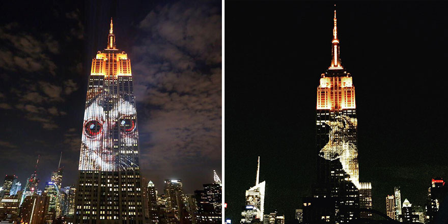 proyeccion-digital-empire-state-animales-amenazados (6)