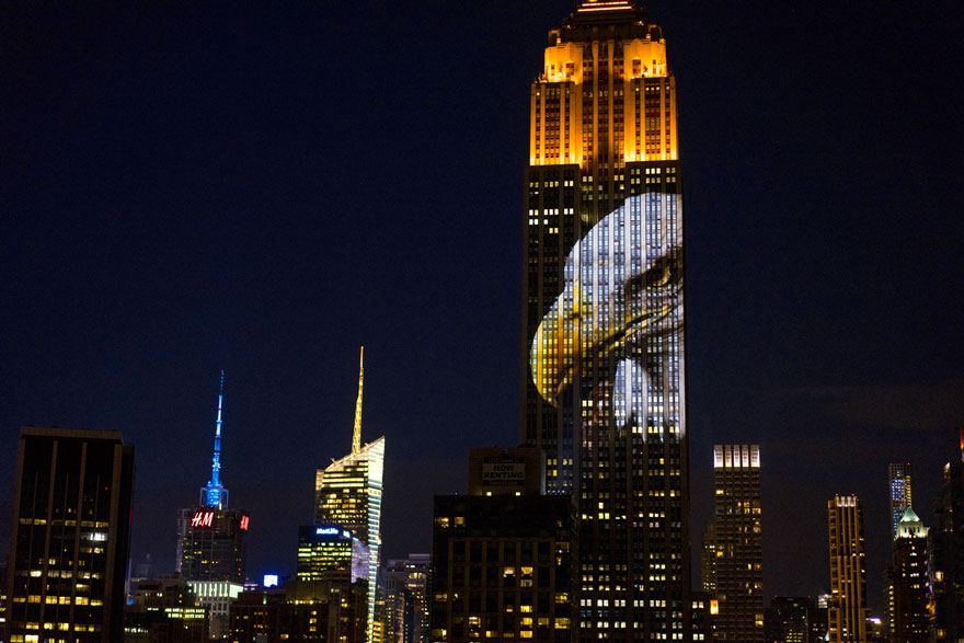 proyeccion-digital-empire-state-animales-amenazados (7)