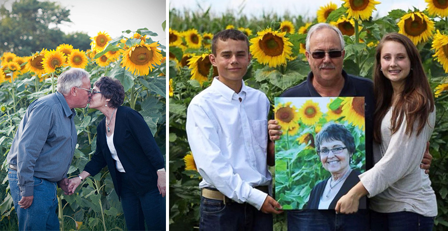 semillas-esperanza-babbette-girasoles-cancer-don-jaquish (7)