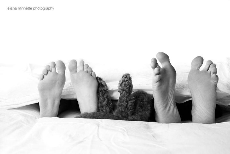 sesion-fotos-recien-nacido-perro-humphry-elisha-minette (9)