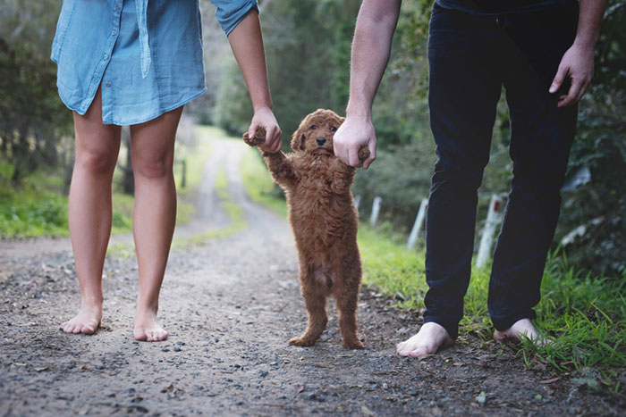 Esta pareja sin hijos hizo una sesión de fotos de recién nacido con su perro