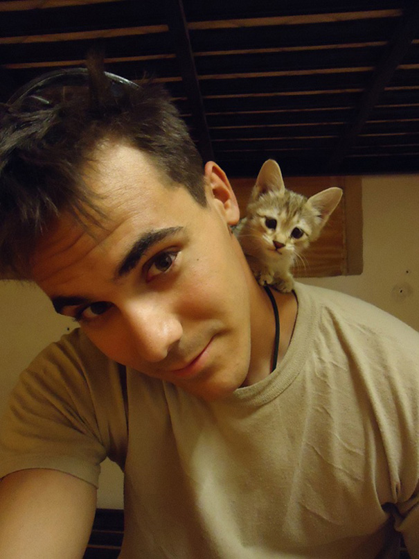 soldados-con-gatos (1)