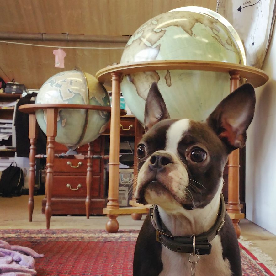 ultimo-fabricante-globos-terraqueos-artesanos-bellerby-globemakers (7)