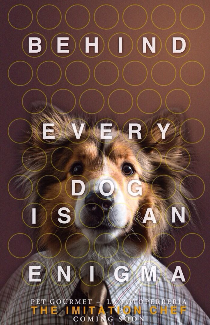 Un Perro Recrea Posters De Películas Nominadas A Los Pasados Premios De La Academia