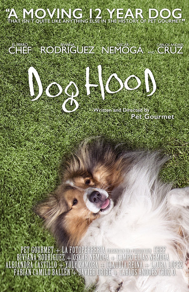 Un Perro Recrea Posters De Películas Nominadas A Los Pasados Premios De La Academia
