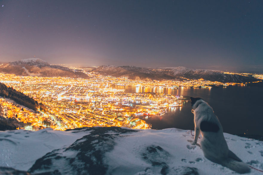 acampada-esqui-noruega-perro-husky-henrik-vikse (1)