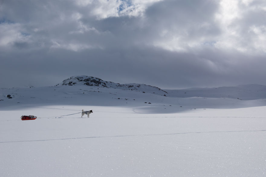 acampada-esqui-noruega-perro-husky-henrik-vikse (2)