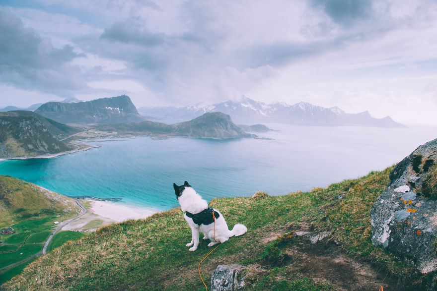 acampada-esqui-noruega-perro-husky-henrik-vikse (5)