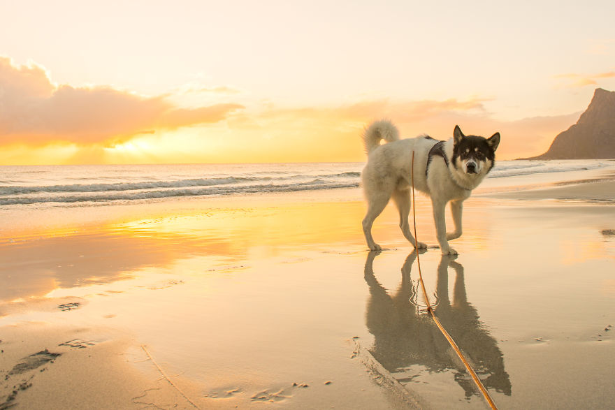 acampada-esqui-noruega-perro-husky-henrik-vikse (6)