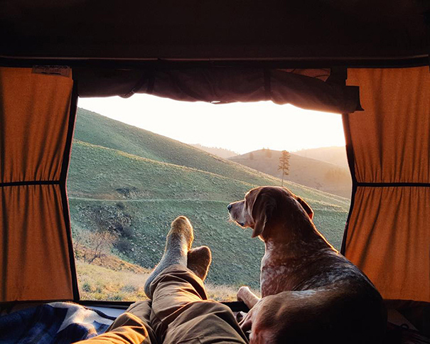 acampar-con-perros-ryan-carter (11)