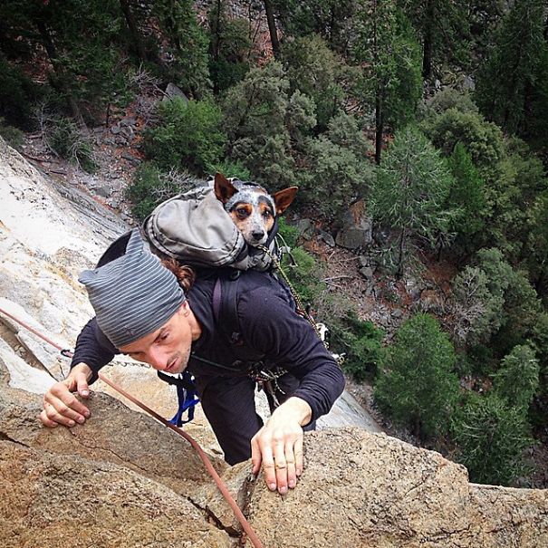 acampar-con-perros-ryan-carter (14)