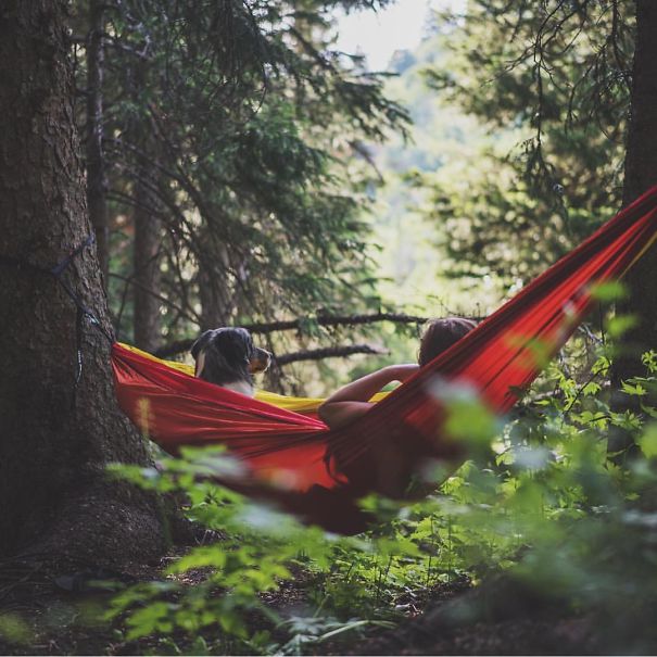 acampar-con-perros-ryan-carter (17)
