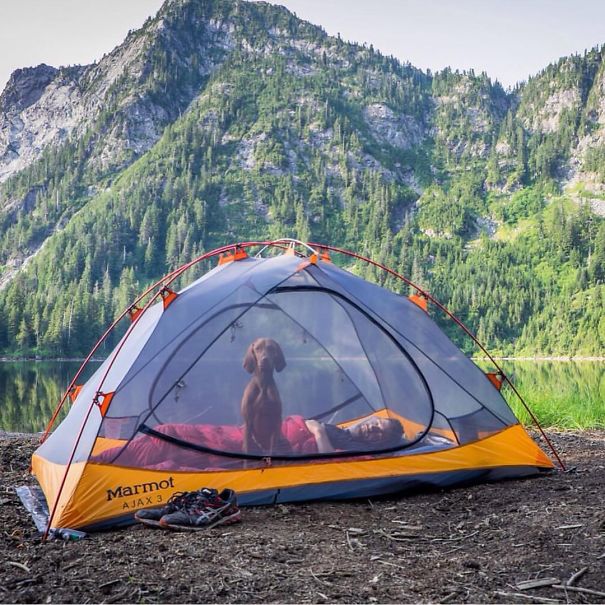 acampar-con-perros-ryan-carter (18)