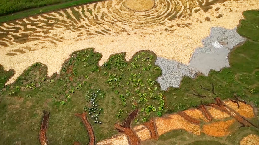 campo-plantado-pintura-van-gogh-olivos-stan-herd (3)