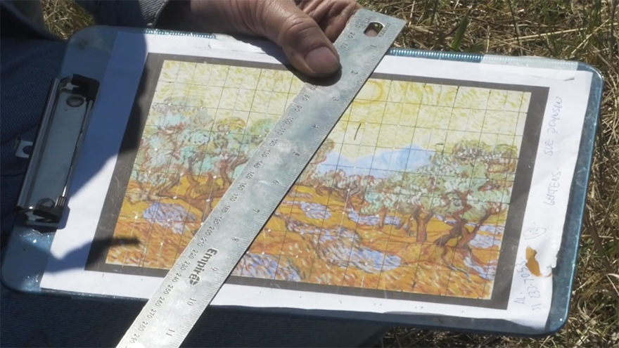 campo-plantado-pintura-van-gogh-olivos-stan-herd (5)